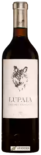 Wijnmakerij Castorani - Lupaia Cabernet Sauvignon