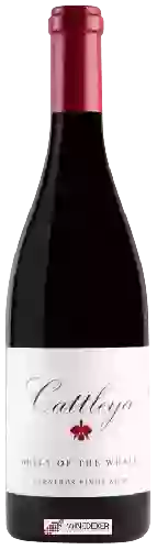 Wijnmakerij Cattleya - Belly of The Whale Pinot Noir