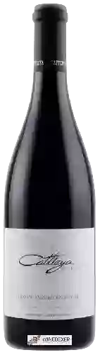 Wijnmakerij Cattleya - Pinot Noir (Donum Vineyard)