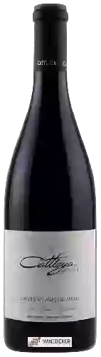 Wijnmakerij Cattleya - Syrah (Soberanes Vineyard)