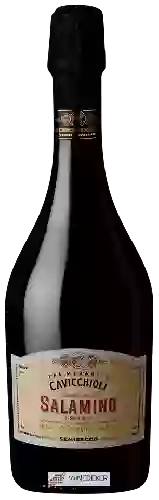 Wijnmakerij Cavicchioli - Lambrusco Salamino di Santa Croce Semisecco