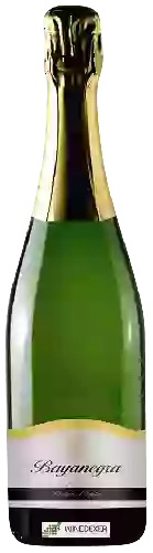 Wijnmakerij Celaya - Bayanegra Sparkling White