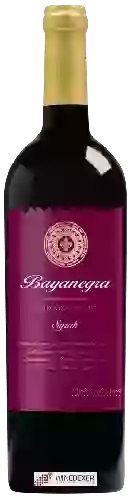 Wijnmakerij Celaya - Bayanegra Syrah