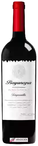 Wijnmakerij Celaya - Bayanegra Tempranillo