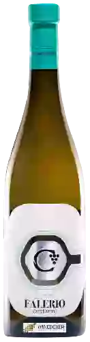 Wijnmakerij Centanni - Falerio