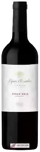 Wijnmakerij Cepas Privadas - Pinot Noir