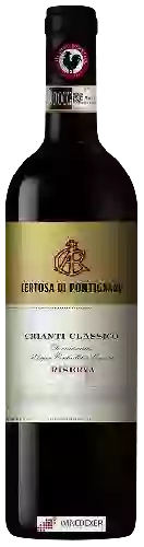 Wijnmakerij Certosa di Pontignano - Chianti Classico Riserva