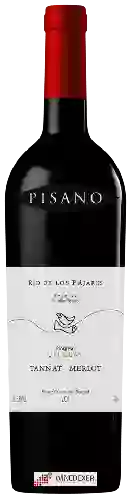 Wijnmakerij Pisano - Rio de Los Pájaros Reserve Merlot - Tannat