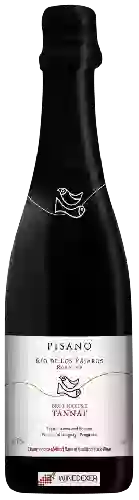 Wijnmakerij Pisano - Rio de Los Pájaros Reserve Tannat Brut Nature