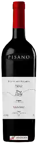 Wijnmakerij Pisano - Río de Los Pájaros Reserve Tannat