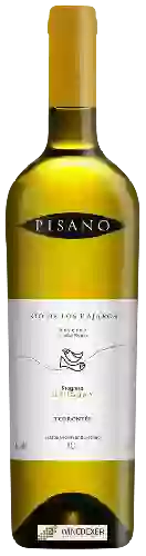 Wijnmakerij Pisano - Rio de Los Pájaros Reserve Torrontés