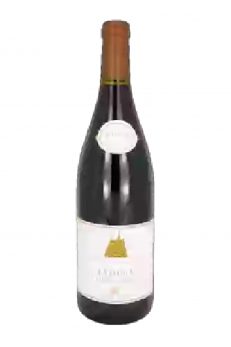 Château Corton C - Bourgogne Chardonnay