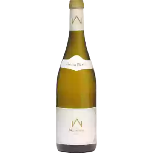 Château d'Avrille - Anjou Blanc