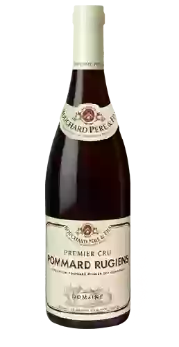 Wijnmakerij Pierre André - Les Arvelets Pommard 1er Cru