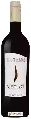 Domaine Sainte Octime - Merlot