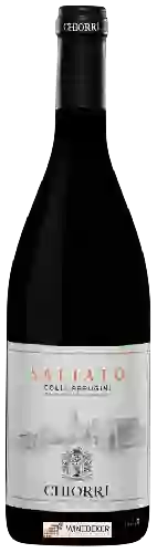 Wijnmakerij Chiorri - Saliato