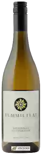 Wijnmakerij Churton - Tummil Flat Sauvignon Blanc