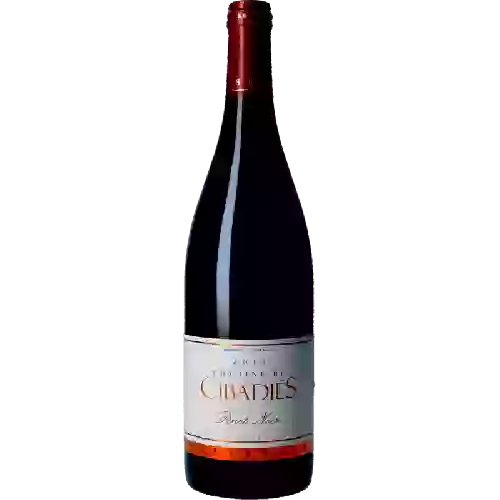 Domaine de Cibadiès - Rouge