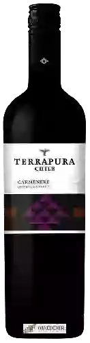 Wijnmakerij Terrapura - Carmenère