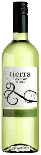 Wijnmakerij Tierra - Sauvignon Blanc