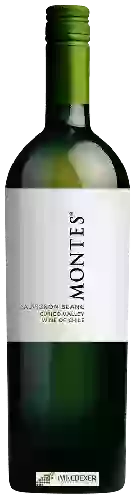 Wijnmakerij Villa Montes - Sauvignon Blanc