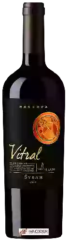 Wijnmakerij Viña Maipo - Vitral Reserva Syrah