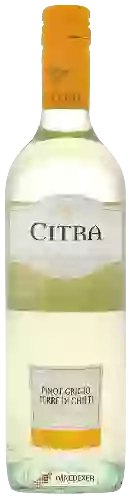 Wijnmakerij Citra - Pinot Grigio Terre di Chieti