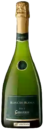 Wijnmakerij Codorníu - Cava Brut Blanc de Blancs