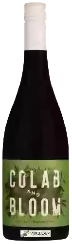 Wijnmakerij Colab and Bloom - Montepulciano