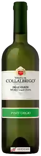 Wijnmakerij Collalbrigo - Pinot Grigio