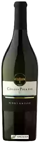 Wijnmakerij Colli di Poianis - Pinot Grigio