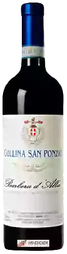 Wijnmakerij Collina San Ponzio - Linea 1878 Barbera d'Alba