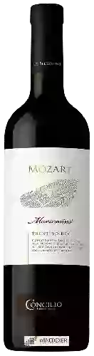 Wijnmakerij Concilio - Mozart Marzemino