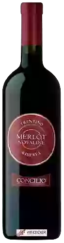Wijnmakerij Concilio - Novaline Merlot Trentino Riserva