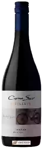 Wijnmakerij Cono Sur - Bicicleta Syrah