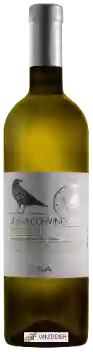 Wijnmakerij Contesa - Vigna Corvino Pecorino