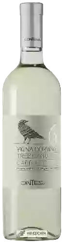 Wijnmakerij Contesa - Vigna Corvino Trebbiano d'Abruzzo