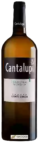 Wijnmakerij Conti Zecca - Cantalupi Chardonnay Salento
