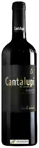 Wijnmakerij Conti Zecca - Cantalupi Old Vineyards Primitivo