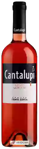 Wijnmakerij Conti Zecca - Cantalupi Rosato Salento