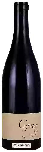 Wijnmakerij Copain - Hawks Butte Syrah