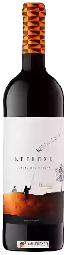 Wijnmakerij Costers del Priorat - Reflexe