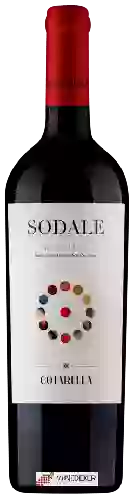 Wijnmakerij Cotarella - Sodale Merlot