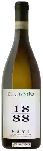 Wijnmakerij Curtis Nova - Gavi 1888