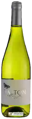 Wijnmakerij Dalton - Moscato