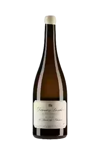 Wijnmakerij Dampt Frères - Réserve du Domaine Chablis