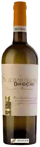 Wijnmakerij Dario Coos - Sauvignon