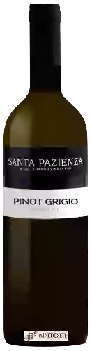 Wijnmakerij di Lenardo - Santa Pazienza Pinot Grigio