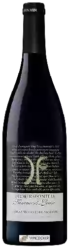 Wijnmakerij Diemersfontein - Summer's Lease Red Blend