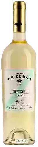 Wijnmakerij Dieter Meier - Ojo De Agua Torrontes